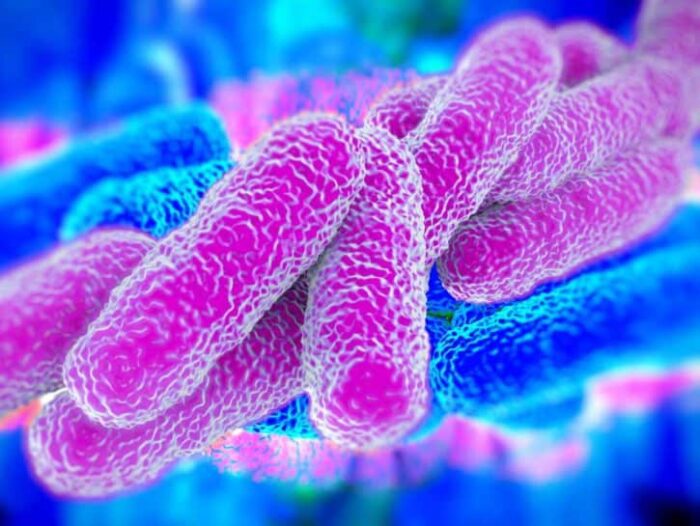 ladispoli legionella morti