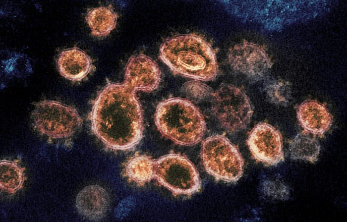 ciociaria bollettino coronavirus oggi 11 gennaio 2022
