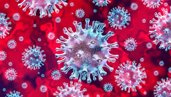 nettuno caso positivo coronavirus covid 19 numero contagi
