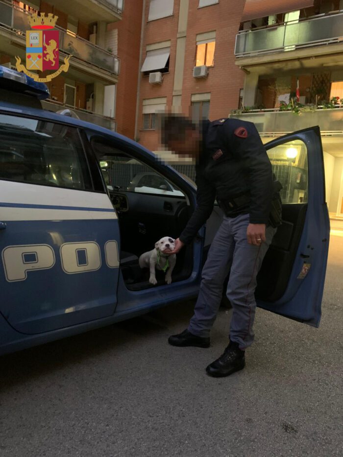 Cerveteri, muore il cane della nonna e il nipote le fa consegnare dalla polizia un nuovo cucciolo in regalo