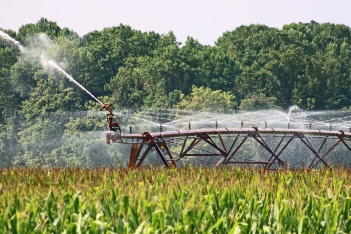 Agricoltura, reclutamento straordinario di 1000 addetti in tutta Italia