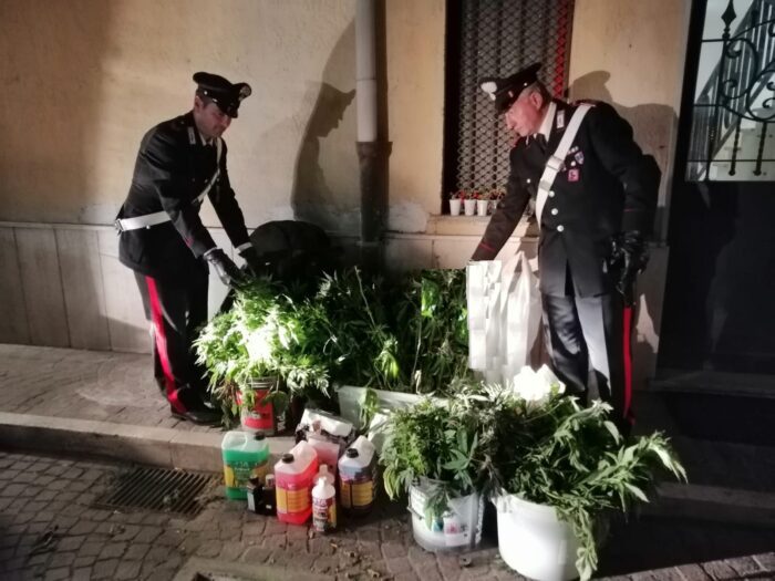 artena colleferro serra marijuana spaccio