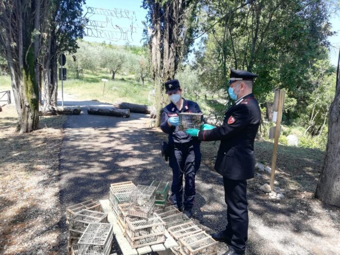 pontecorvo spaccio droga detenzione volatili specie protetta