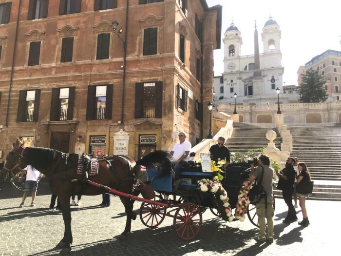 Fase 3, Coldiretti Lazio: "Fiori italiani in piazza a Roma: subìto un crack da 1,5 miliardi"