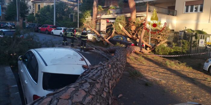 Montesacro albero crolla auto strada chiusa