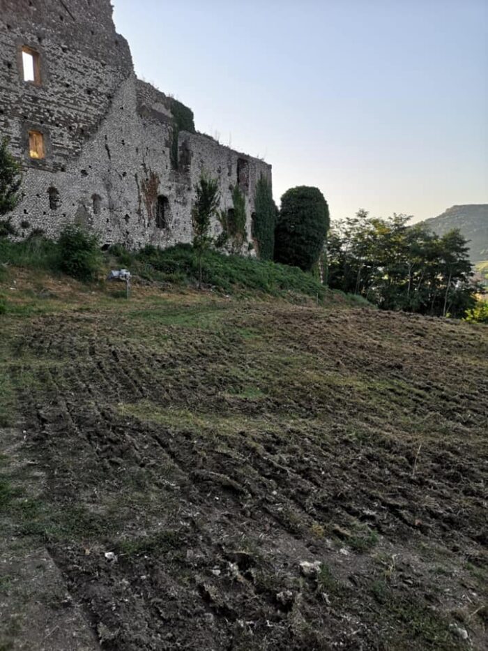 colleferro alberi parco castello