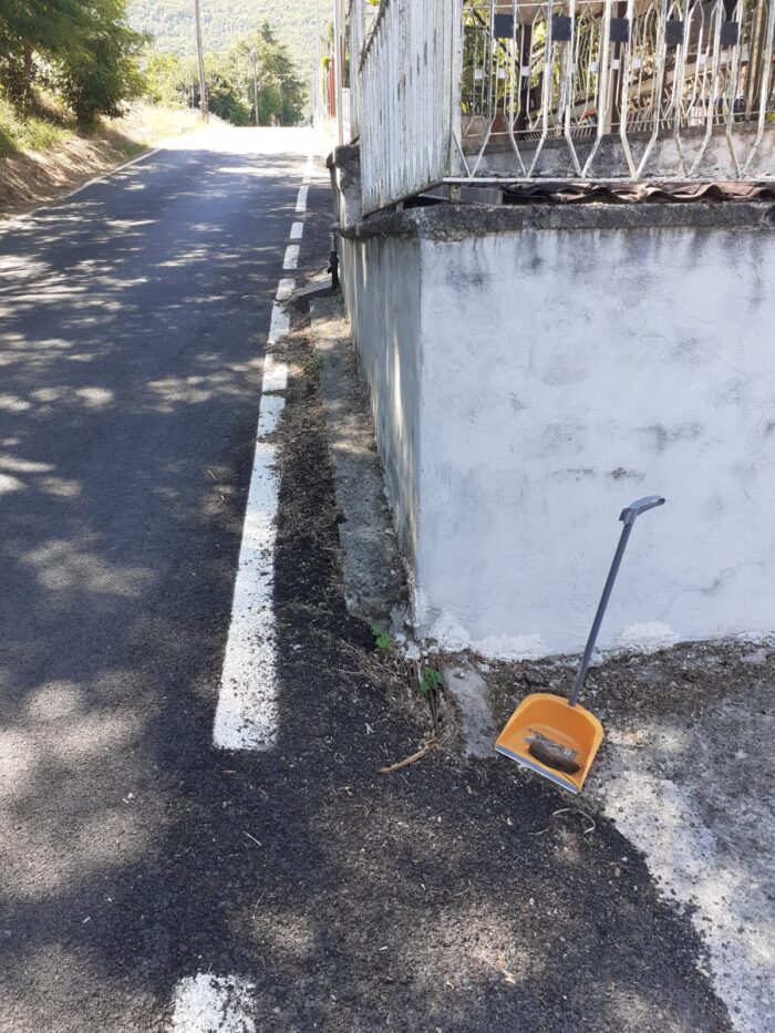 Colleferro, topi in Via dei Larici: l'allarme dei residenti