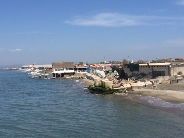 Fiumicino. Pescatore attaccato da uno squalo: ecco la vicenda