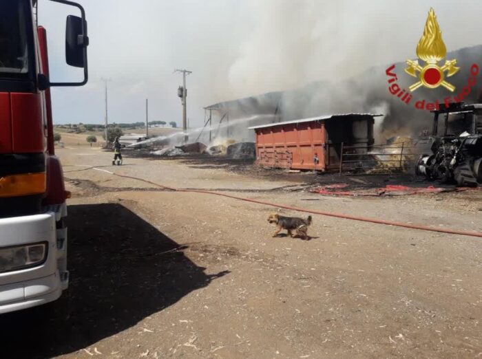 Roma. Ardeatina, incendio in un'azienda agricola. Animali tratti in salvo e cause imprecisate