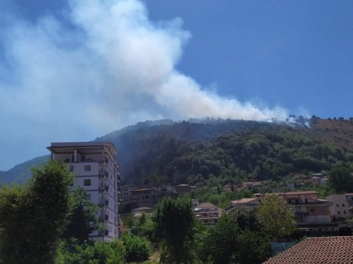 Artena incendio sul monte Patrarquara