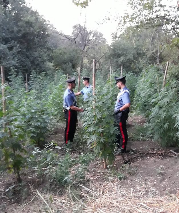 Roma marijuana Via della Storta