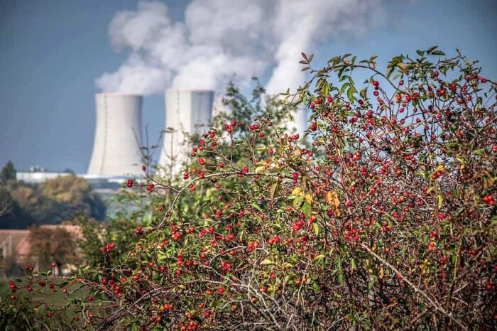 latina demolizione centrale nucleare sogin