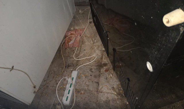 Ostiense, proposta la chiusura di un ristorante per scarse condizioni igieniche: blatte morte ed escrementi di topo nel deposito