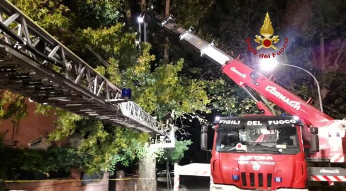 Trastevere, albero di grosso fusto si abbatte in strada: necessario l'intervento dei Vigili del Fuoco