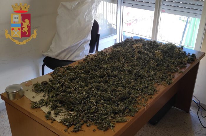 genzano coltiva marijuana casa