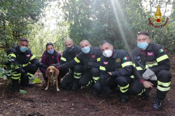 Villa Ada, cane cade in un dirupo profondo sette metri nel parco di Roma