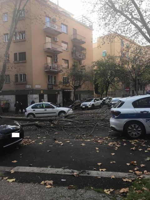 Appio Latino alberi cadono auto via Macedonia