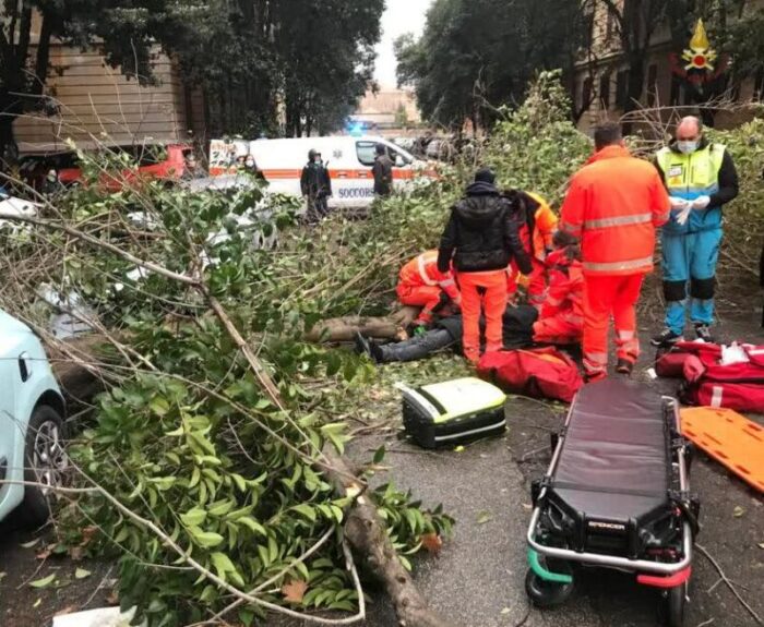 Flaminio, albero cade su passante in via Raffaele Stern: ferito al braccio e alla testa