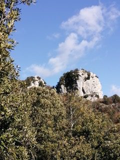 Subiaco, Valle dei Monasteri. Ricorso al TAR del Comitato Spontaneo per la difesa del Bosco delle Lucinette per salvare il tratto della valle dell'Aniene