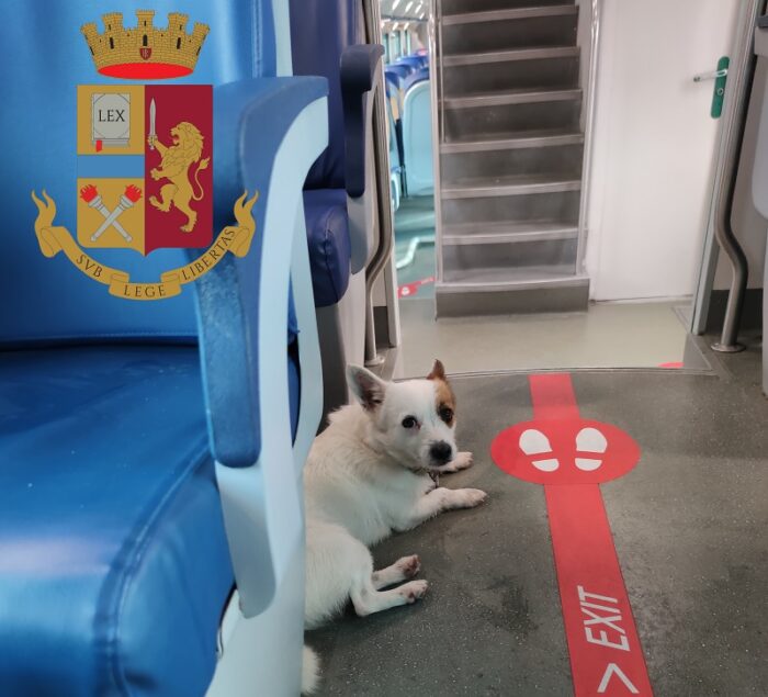 zagarolo cagnolino treno