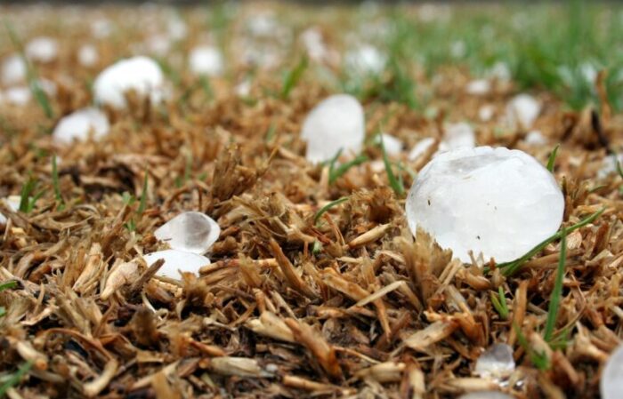 lazio allerta meteo domani 24 gennaio 2021