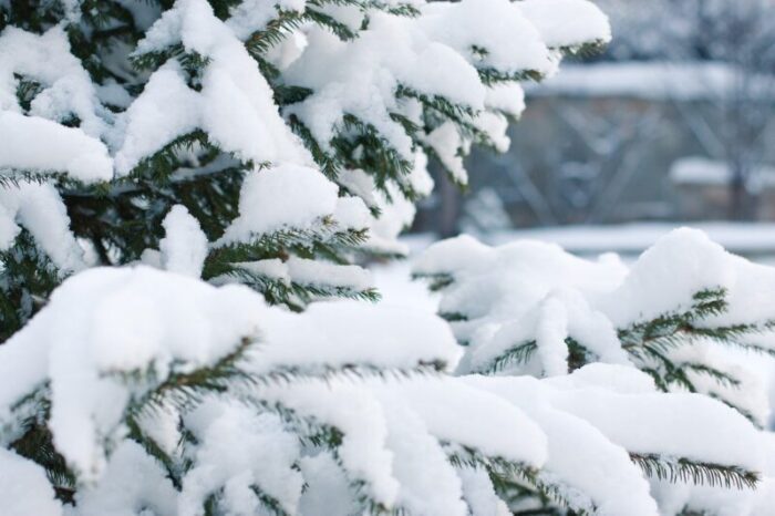 lazio allerta meteo neve oggi 24 ore