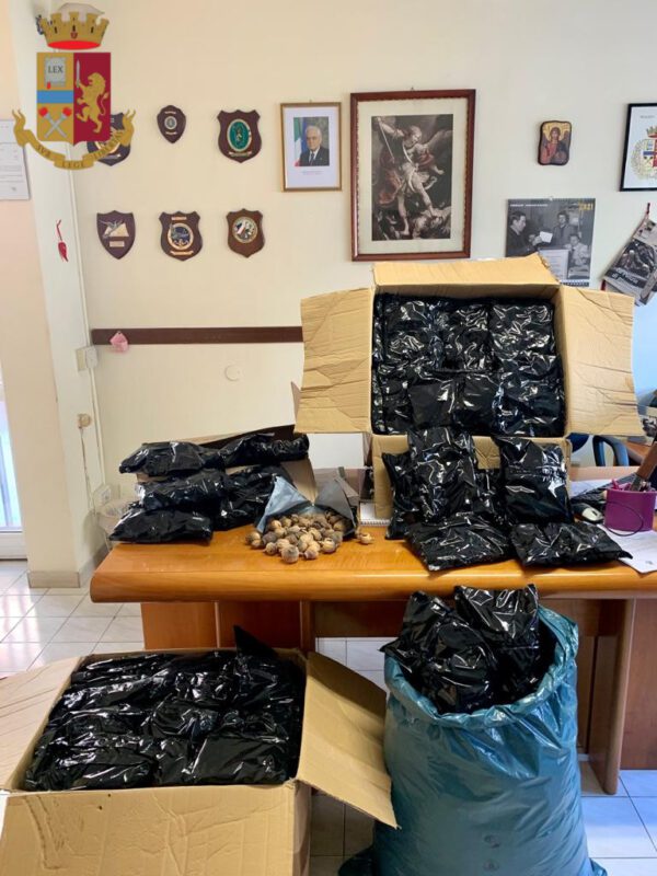 Don Bosco, box stupefacente: un pusher 38enne, con finto domicilio a Nettuno, nascondeva più di 20 kg di droga. Per scovarla è servito il fiuto del cane antidroga Condor