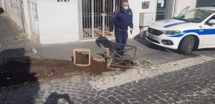 Castel Gandolfo, danneggia le fioriere davanti al Comune: rintracciato il responsabile