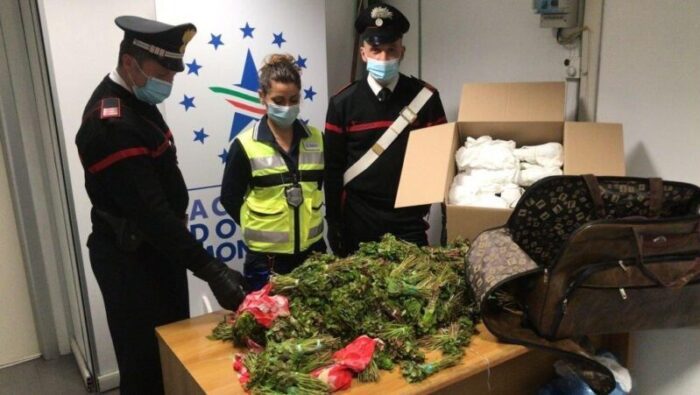 Fiumicino Aeroporto droga valigie khat