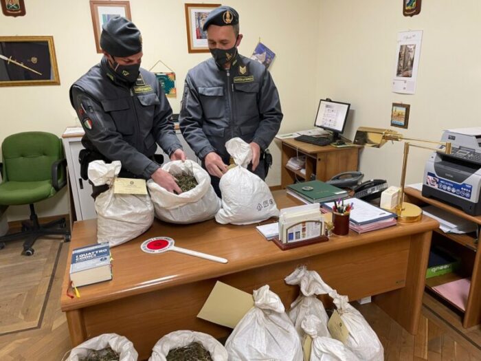 fiuggi sequestrati 188 kg marijuana