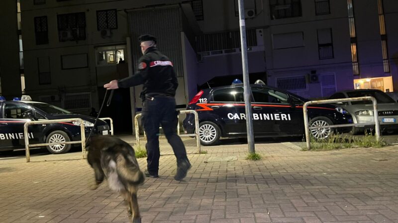 tor bella monaca 51 arresti azzerati vertici piazza di spaccio