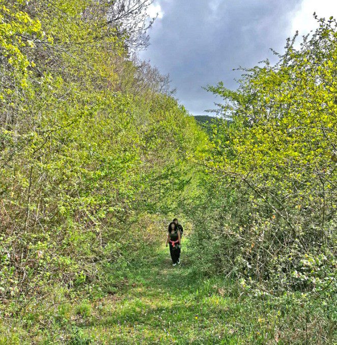 fiuggi giornata ecologica pozzo fracicale