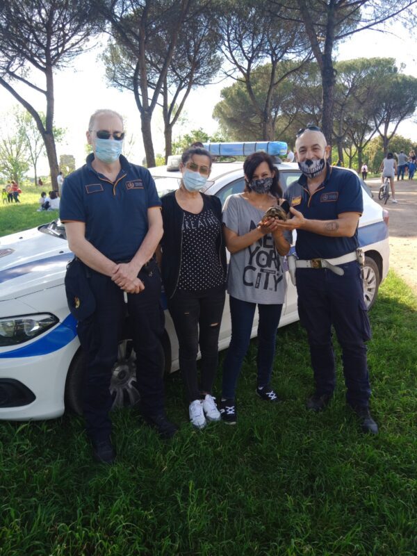 Parco degli acquedotti, trovata tartaruga di terra: Arturo, il particolare esemplare in via di estinzione di "testudo hermanni" è adesso al sicuro