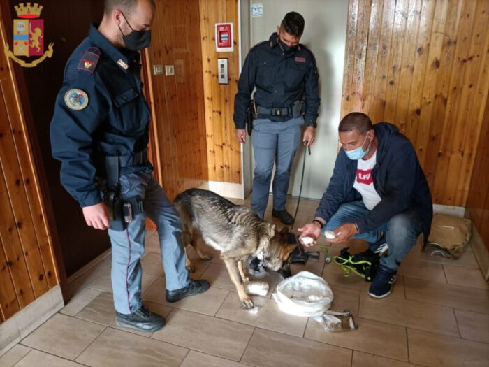 tor bella monaca cane poliziotto droga