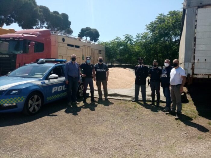 Ciociaria, la Polizia Stradale sequestra grano per uso alimentare e lo dona agli animali del Circo