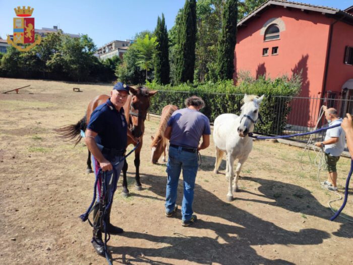 marconi cavalli parco giochi