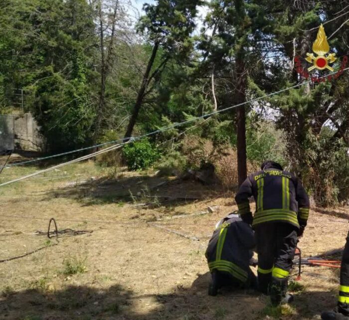 Roma. Rimane incastrato con un piede sotto al fusto di un albero appena tagliato: intervengono i VVF