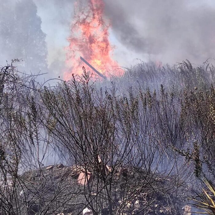 Lazio, soltanto oggi 100 incendi in regione. I 3 più pericolosi sono avvenuti a Balduina/Pineta Sacchetti: evacuate case di riposo e abitazioni