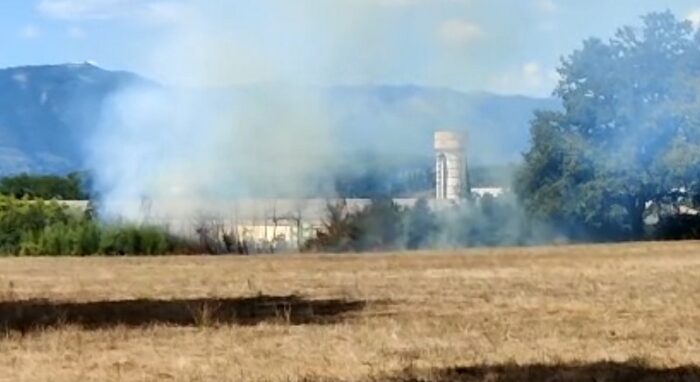 Momenti di paura al Bosco di #Paliano