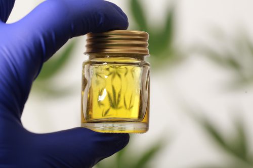 olio cbd cosa bisogna conoscere