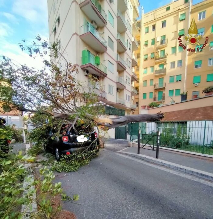 Tragedia sfiorata a Pigneto: grosso albero cade su un'auto in transito. Complice il forte vento?