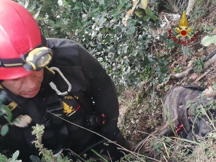 Rocca di Papa, uomo e cane caduti in un dirupo in zona Belvedere