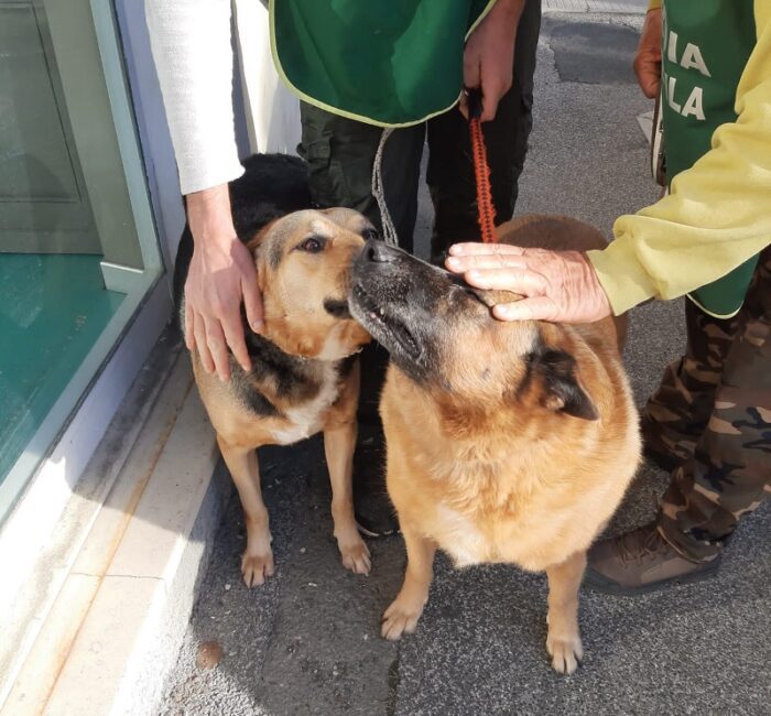 ladispoli muore giorni marito disabile