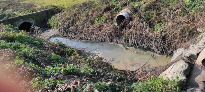 Colle degli Abeti e Ponte di Nona, miasmi dal fosso Benzone: intervengono i Comitati