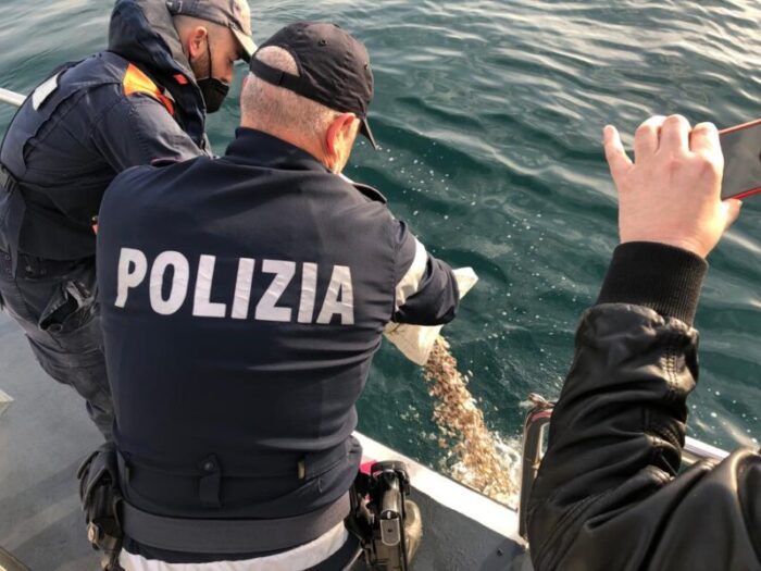 Cassino, sequestrati prodotti ittici pescati illegalmente: 2 quintali di telline rinvenute durante un controllo stradale