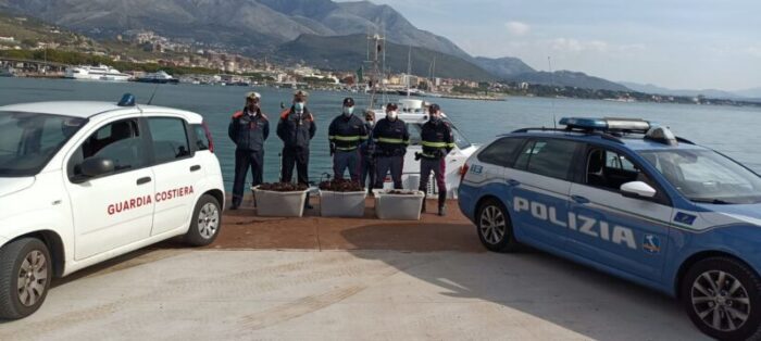 Polizia Stradale Cassino ricci di mare