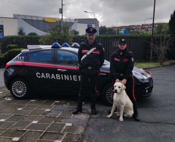 Bracciano carabinieri restituiscono cane labrador smarrito