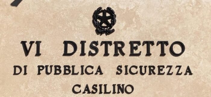 casilino cane gatto abbandonato casa