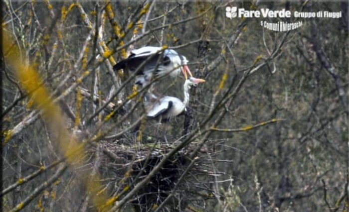 Riserva Naturale di Canterno, annunciati nuovi eventi da Fare Verde Fiuggi