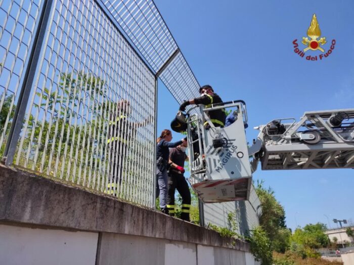 Pietralata. Uomo ritrovato in stato confusionale all'interno di un terreno incolto: Vigili del Fuoco e Polizia sul posto